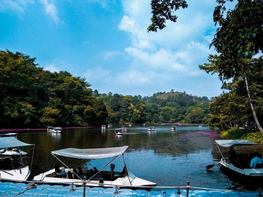 Wayanad Snow Vibes Vila Vythiri Exterior foto