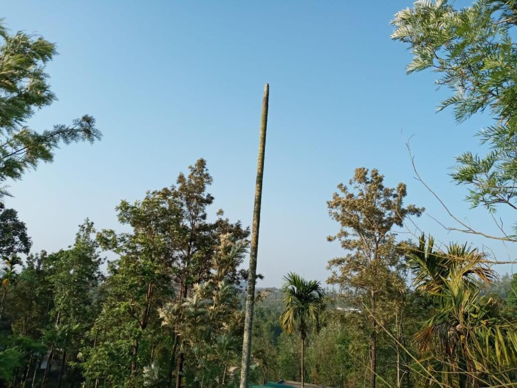 Wayanad Snow Vibes Vila Vythiri Exterior foto
