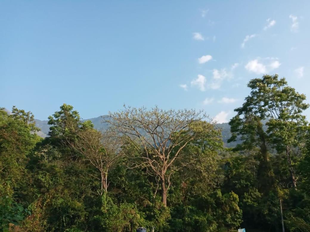 Wayanad Snow Vibes Vila Vythiri Exterior foto